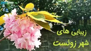 زیبایی های شهر زوئست @Dariweb