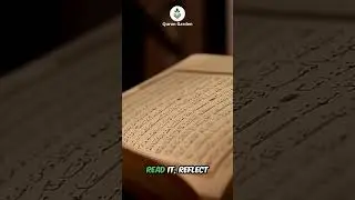 Read, Reflect and Live By the Quran Before It's Too Late!