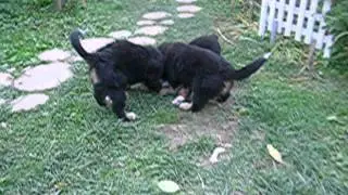 DSCN2432