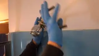 no water flow out shower head