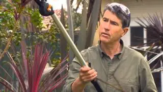 The Garden Gurus - Telescopic Tree Pruner