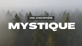 Une journée dans un des plus vastes massifs forestiers de Belgique