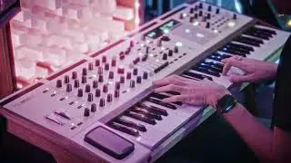 Radiohead - Everything In Its Right Place (Cover) | Arturia PolyBrute 12