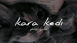 Kara Kedi/Melis Fis cover (speed+lyrics)