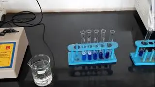 Estimation of Protein by Biuret Method