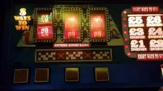 Reelfruits - &pound;5 bwb bingo belle challenge