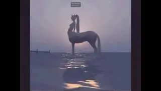Unicorn Centauress