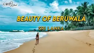 The Natural Beauty of Beruwala | Sri Lanka | Grip2Mind VLOG 70