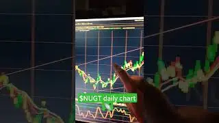 $NUGT Daily Chart📡