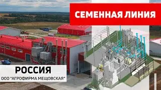 Семенная линия Полымя. ООО 