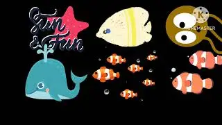 Sea life stampede- the kids picture show