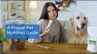 A Proper Pet Nutrition Guide for your Furry Friends
