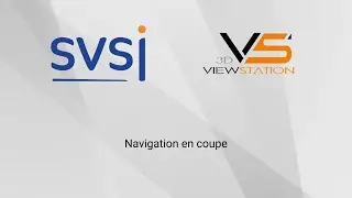 SVSI 3DViewStation Navigation en coupe