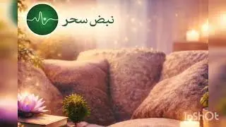  لماذا بدأتُ من الصفر؟ ✨