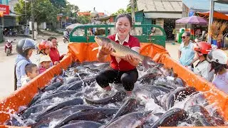 Harvesting 150kg Giant Catfish - Strong Farmer Loading Truck for Heavy Transport | Đ&agrave;o Daily Farm