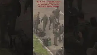 The 