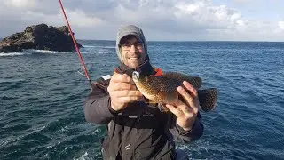 fishing for old fish with soft lures with Natural bar Fishing