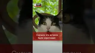 Пушистый &laquo;суфлёр&raquo;: телеканал ЮВТ-24 завел питомца