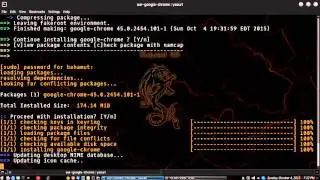 NEW - How to Upgrade / Update Flash  - Arch Linux