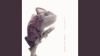 Chameleonic
