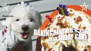 🎂🐶 BAKING MY DOG'S FIRST BIRTHDAY CAKE