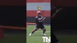 How to stop a bull rush