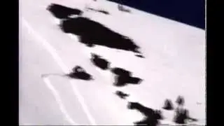 snowmobile rollover
