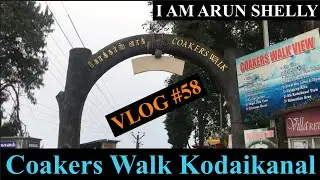 Coakers Walk In Kodaikanal | Best Hill View In Kodaikanal | Vlog #58