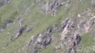DSCF0038