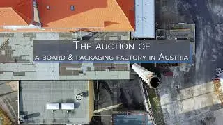 Netbid: auction of a board & packaging factory in Austria &ndash; Full version