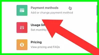 How to Manage Payment Methods for ChatGPT (NEW Chat GPT Plus Update in 2023)