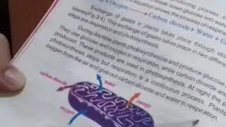 Class 6 PTB Science Chapter 3 Topic Respiration in Plants