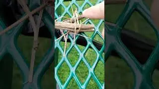 Physics of Rafts 002 (Curling Friction)