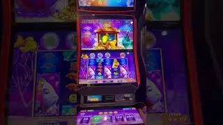 GOLD FISH SUPER BONUS! #slot #casino #gambling #shorts 