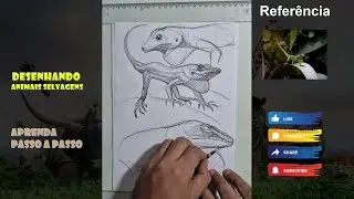 Desenhando Animais Selvagens passo a passo 026 #wildlife #drawing