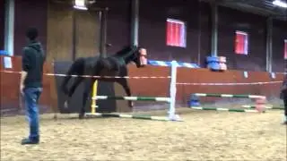 Kvinnersta l&ouml;shoppning - 20.05.2014