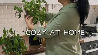 Slow Living in Turkey | Cozy Yalda Night | Dolma Cooking & Family Dinner