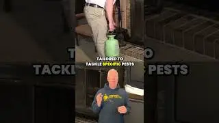 Why Hire Professional Pest Control?