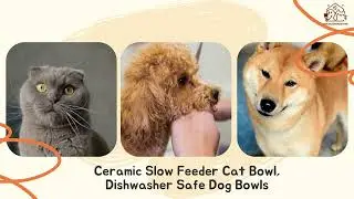 NoKa & Aurora Stone Ceramic Slow Feeder Cat Bowl, Dishwasher Safe