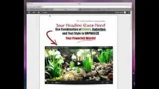 Marketer Plugin - Add a YouTube Video in Your WordPress Blog