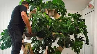 Creative Ground | Miami's contemporary botanical arts center