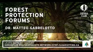 Forest Protection Forums | Stop Clearcutting CA | Dr. Matteo Gabrelotto