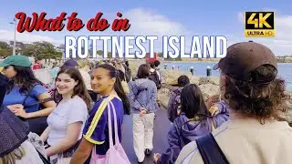 WHAT TO DO IN ROTTNEST ISLAND #RottnestIsland #WesternAustralia