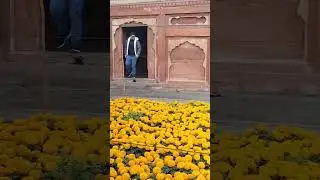 The Garden. #india #funny #pakistan #lovepak #animal #animal #comedy #automobile #hero #video #fun