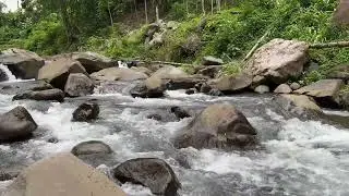 4K 10 Hours Gentle Stream Sounds | Relaxing Stream Sounds use for Relaxation, Sleep, insomnia.