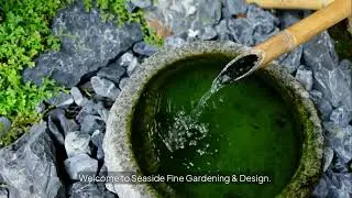3 Coastal Garden Tips Every Cape Cod Homeowner Should Know 🌿 | SeasideFGD