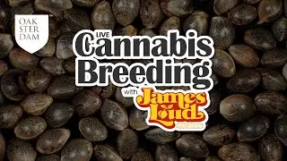 Genetic sequencing and consumers demanding more uses&end outcomes moving cannabis toward innovation