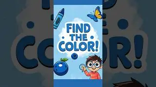 Find the Color| Color Quiz for Kids🐬🩵🌊🐟🚙🪣