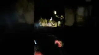 Late night accident