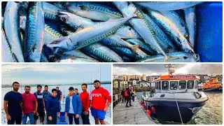 Fishing In Portrush | Northern Ireland/R Oceans World
